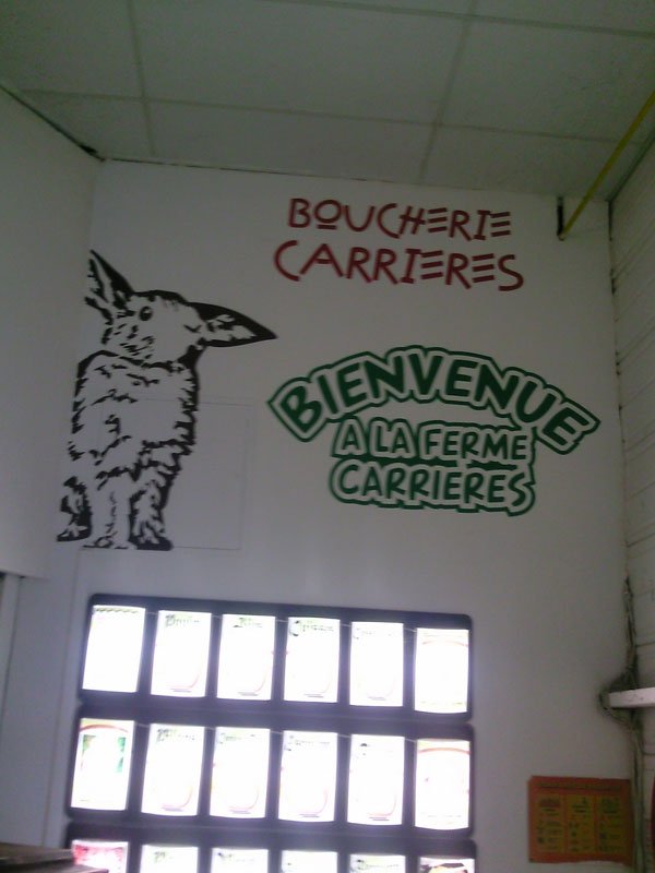 BOUCHERIE-CARRIERES-12