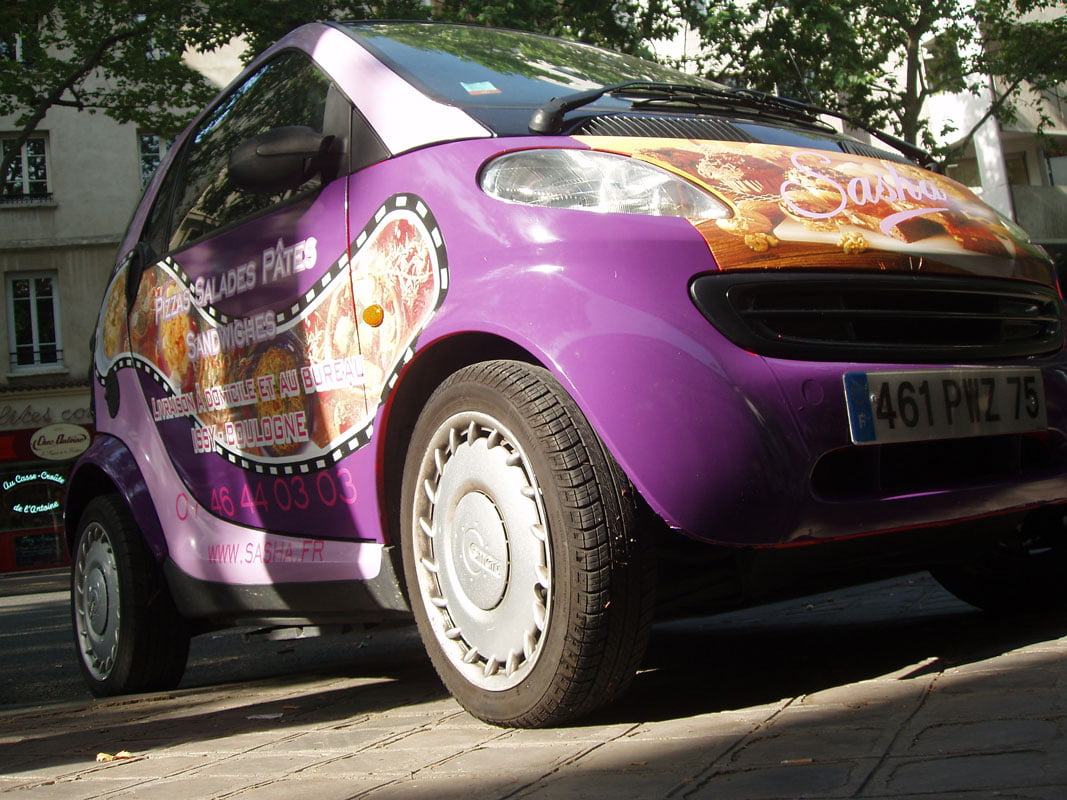 smart-sacha-1