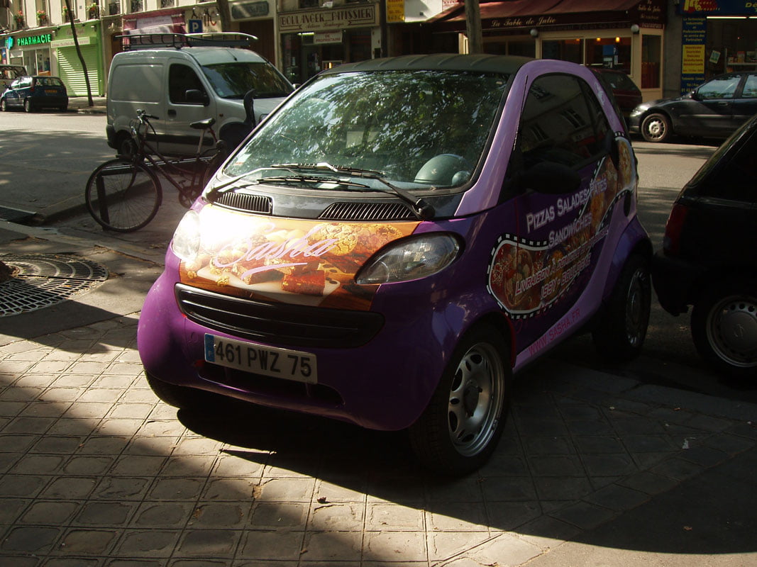 smart-sacha-2
