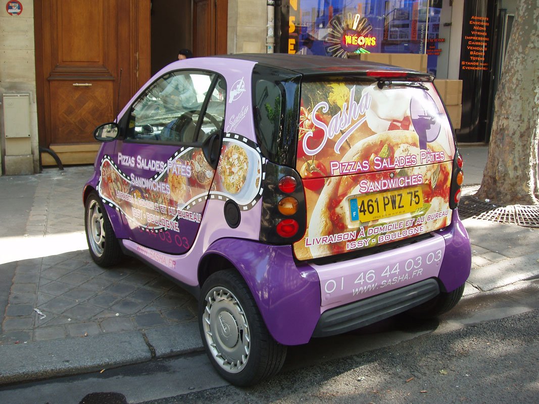 smart-sacha-8